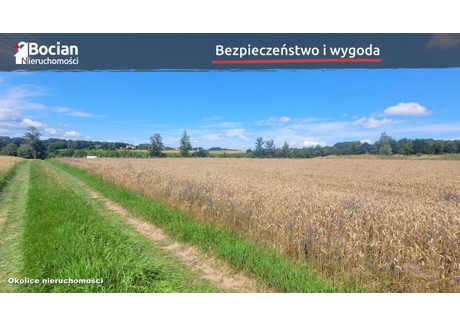 Działka na sprzedaż - Kczewo, Przodkowo, Kartuski, 1000 m², 220 000 PLN, NET-BU954559