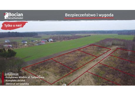 Działka na sprzedaż - Tulipanowa Gołębiewo Wielkie, Trąbki Wielkie, Gdański, 24 542 m², 4 910 000 PLN, NET-BU543888