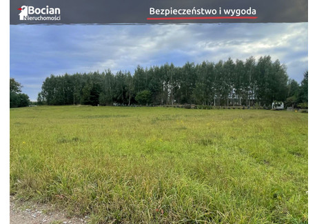 Działka na sprzedaż - Lisewiec Bielkówko, Kolbudy, Gdański, 3300 m², 845 000 PLN, NET-BU111611