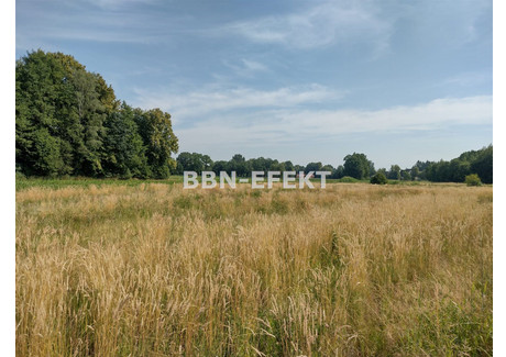 Działka na sprzedaż - Hecznarowice, Bielski, 4266 m², 495 000 PLN, NET-BBN-GS-19144-5