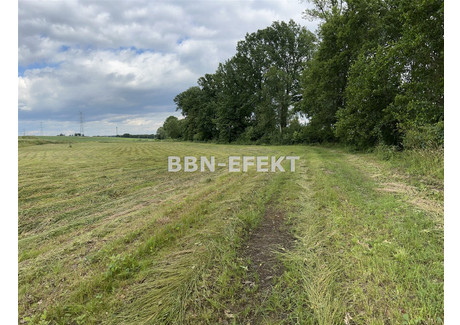 Działka na sprzedaż - Międzyrzecze Dolne, Jasienica, Bielski, 22 150 m², 3 365 000 PLN, NET-BBN-GS-17841-9