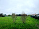 Rolny na sprzedaż - ul. Iwaszkiewicza Rzeszów, 4123 m², 1 855 000 PLN, NET-828280