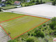 Działka na sprzedaż - Józefowo, Włocławek, Włocławski, 1862 m², 155 000 PLN, NET-MDS-GS-4569-2