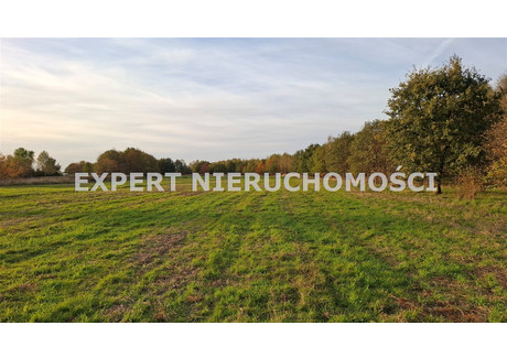 Działka na sprzedaż - Knurów, Gliwicki, 707 m², 212 100 PLN, NET-EXN-GS-1642