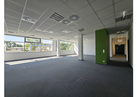 Biuro do wynajęcia - Wrocław, 250,7 m², 12 786 PLN, NET-29658/4651/OLW