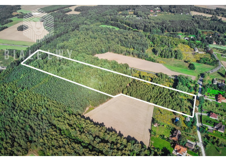 Działka na sprzedaż - Borchówka, Nowosolna, Łódzki Wschodni, 78 647 m², 1 530 000 PLN, NET-BLN566041