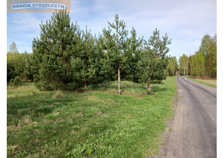 Działka na sprzedaż - Moniochy, Głowaczów, Kozienicki, 13 500 m², 398 000 PLN, NET-170/9046/OGS