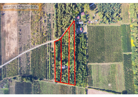 Działka na sprzedaż - Tomaszówka, Pniewy, Grójecki, 14 800 m², 1 358 000 PLN, NET-231/9046/OGS