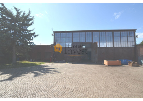 Magazyn, hala do wynajęcia - Szwoleżerów Legnica, 909,7 m², 11 900 PLN, NET-169/6038/OOW