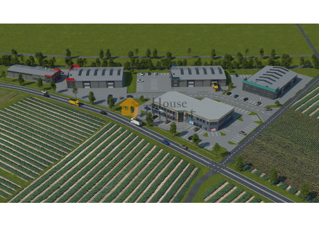 Komercyjne na sprzedaż - Kozów, Złotoryja, Złotoryjski, 1000 m², 3 500 000 PLN, NET-237/6038/OOS