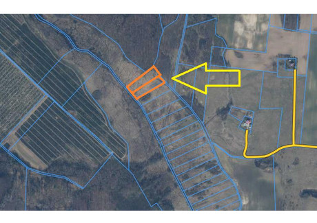 Działka na sprzedaż - Parnowo Biesiekierz (Gm.), Koszaliński (Pow.), 8400 m², 60 600 PLN, NET-3402902