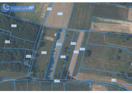 Działka na sprzedaż - Borówna, Lipnica Murowana, Bocheński, 1700 m², 57 000 PLN, NET-251/3923/OGS