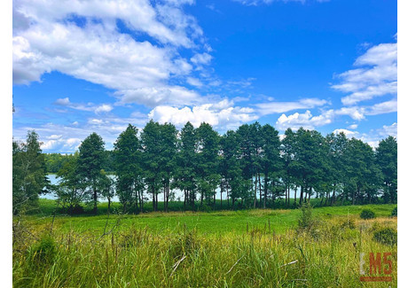 Działka na sprzedaż - Stare Miasto, Dąbrówno, Ostródzki, 3000 m², 360 000 PLN, NET-992424/EM5/DZS-3519