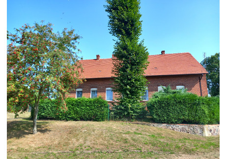 Dom na sprzedaż - Dłusko Gryfińskie, Banie (Gm.), Gryfiński (Pow.), 190 m², 699 000 PLN, NET-NW000303