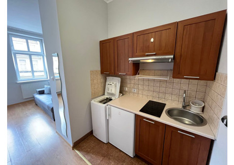 Mieszkanie do wynajęcia - Limanowskiego Łazarz, Grunwald, Poznań, 25 m², 1400 PLN, NET-8990337