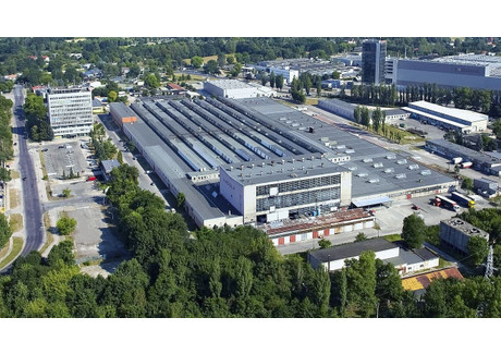 Magazyn, hala do wynajęcia - Wersalska Teofilów, Bałuty, Łódź, 150 m², 2475 PLN, NET-17794855