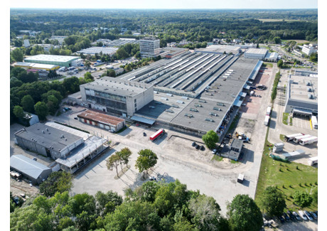 Komercyjne do wynajęcia - Wersalska Teofilów, Bałuty, Łódź, 550 m², 8250 PLN, NET-17737773