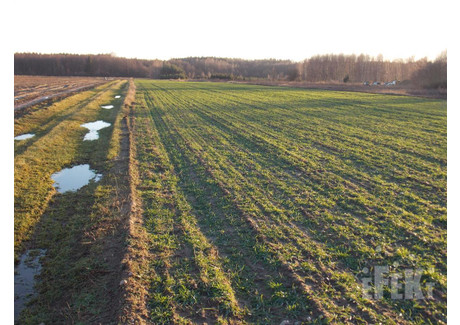 Działka na sprzedaż - Lisowola, Puszcza Mariańska, Żyrardowski, 10 900 m², 200 000 PLN, NET-250