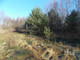 Rolny na sprzedaż - Bartniki, Puszcza Mariańska, Żyrardowski, 13 100 m², 170 300 PLN, NET-246