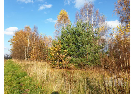 Działka na sprzedaż - Stary Łajszczew, Puszcza Mariańska, Żyrardowski, 44 500 m², 539 000 PLN, NET-211