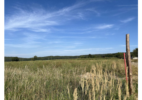 Działka na sprzedaż - Lipowa Dębniki, Strzelin, Strzeliński, 1000 m², 90 000 PLN, NET-15