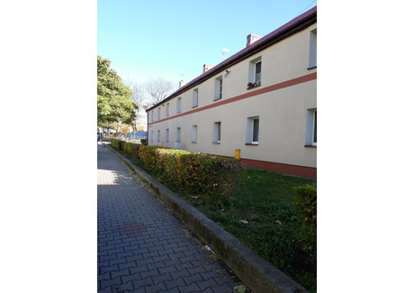 Mieszkanie na sprzedaż - Witkiewicza Zatorze, Gliwice, 47,18 m², 258 000 PLN, NET-20676570