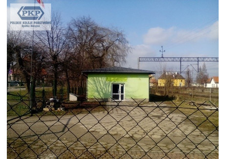 Działka do wynajęcia - Elizy Orzeszkowej Korsze, Korsze (gm.), Kętrzyński (pow.), 565 m², 2373 PLN, NET-18507483
