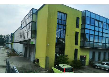 Magazyn, hala na sprzedaż - Janowiecka Wągrowiecki, 5095 m², 10 000 000 PLN, NET-33