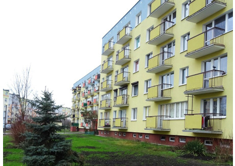 Mieszkanie na sprzedaż - Grudziądz, 60 m², 229 000 PLN, NET-1106/5662/OMS