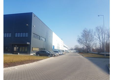 Magazyn, hala do wynajęcia - Księcia Ziemowita Targówek, Warszawa, 3000 m², 42 600 PLN, NET-10/6281/OOW