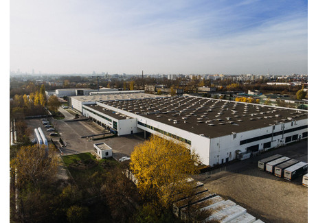 Magazyn, hala do wynajęcia - Księcia Ziemowita Targówek, Warszawa, 3900 m², 65 442 PLN, NET-7/6281/OOW