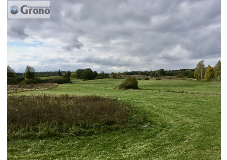 Działka na sprzedaż - Jez. Kalwa Siedliska, Pasym (Gm.), Szczycieński (Pow.), 41 910 m², 750 000 PLN, NET-GA0610