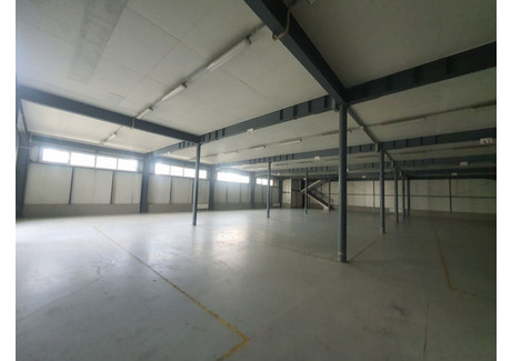 Magazyn do wynajęcia - Kajetany, Nadarzyn, Pruszkowski, 2800 m², 67 000 PLN, NET-88G836186