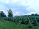 Rolny na sprzedaż - Miedzechów, Jasieniec, Grójecki, 39 300 m², 1 500 000 PLN, NET-196/3396/OGS