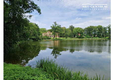 Działka na sprzedaż - Zgniłka, Więcbork, Sępoleński, 890 m², 40 000 PLN, NET-1811/14580/OGS