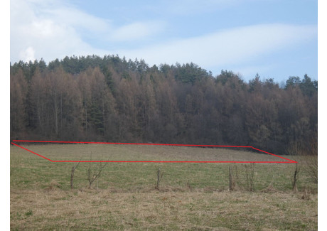 Działka na sprzedaż - Rzepedź, Komańcza (Gm.), Sanocki (Pow.), 5460 m², 39 000 PLN, NET-031