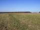 Rolny na sprzedaż - Rogowo, Stargard, Stargardzki, 3045 m², 160 000 PLN, NET-565