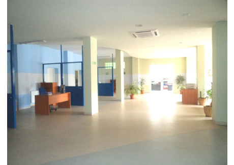 Biuro na sprzedaż - Świebodzice, Świdnicki, 793 m², 1 280 000 PLN, NET-28/14328/OLS