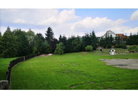 Działka na sprzedaż - Sosnówka, Podgórzyn, Karkonoski, 1040 m², 228 800 PLN, NET-370/14328/OGS