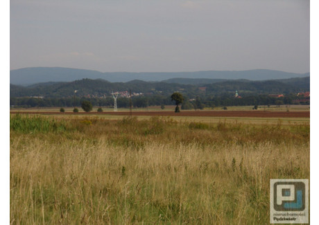 Działka na sprzedaż - Wojcieszyce, Stara Kamienica (gm.), Jeleniogórski (pow.), 20 900 m², 999 999 PLN, NET-JGJP-1181a