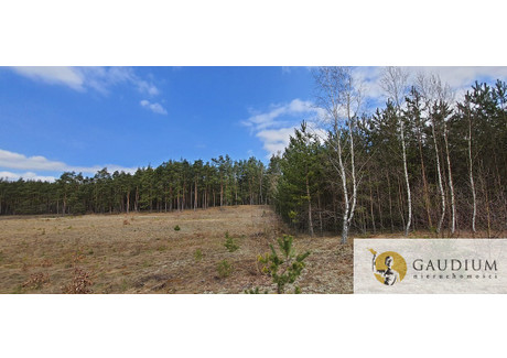 Działka na sprzedaż - Tucholska Czersk, Chojnicki, 3090 m², 309 000 PLN, NET-356/8402/OGS