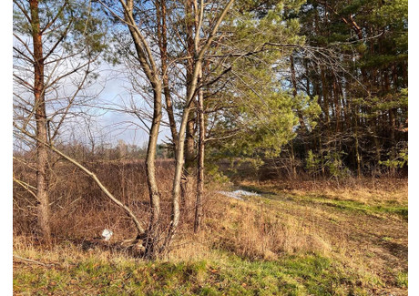 Działka na sprzedaż - Trakt Lubelski Żanęcin, Wiązowna, Otwocki, 3885 m², 580 000 PLN, NET-230/16245/OGS