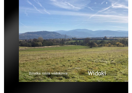 Działka na sprzedaż - Pietrzykowice, Żywiecki, 2500 m², 75 000 PLN, NET-201A426s