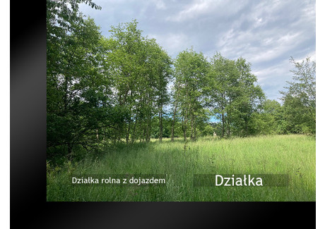 Działka na sprzedaż - Kocoń, Żywiecki, 2000 m², 69 000 PLN, NET-201A415s