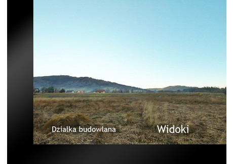 Działka na sprzedaż - Sopotnia Wielka, Żywiecki, 1450 m², 100 300 PLN, NET-201A337s