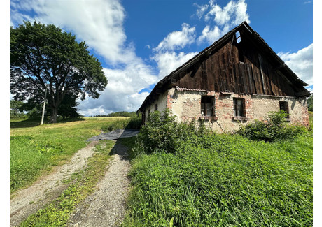 Dom na sprzedaż - Dzikowiec, Nowa Ruda, Kłodzki, 125 m², 128 000 PLN, NET-NNR-DS-68