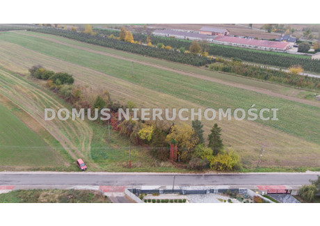 Działka na sprzedaż - Górna Jeżów, Brzeziński, 4300 m², 115 000 PLN, NET-DMU-GS-27-35