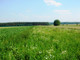 Rolny na sprzedaż - Kalisz, 9900 m², 190 000 PLN, NET-232