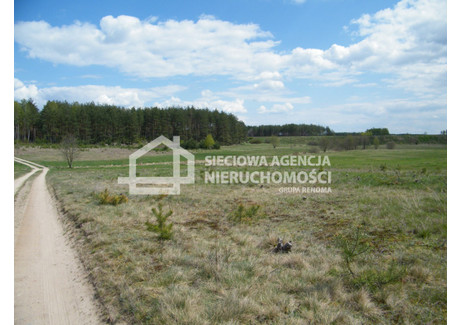 Działka na sprzedaż - Cis, Zblewo, Starogardzki, 41 949 m², 599 999 PLN, NET-DJ376133