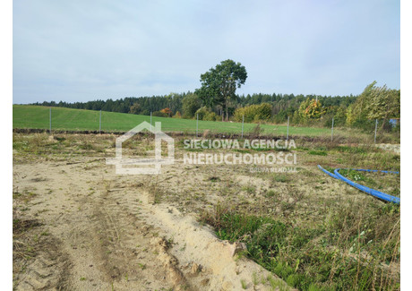 Działka na sprzedaż - Piekło Dolne, Przywidz, Gdański, 4639 m², 499 900 PLN, NET-DJ844449